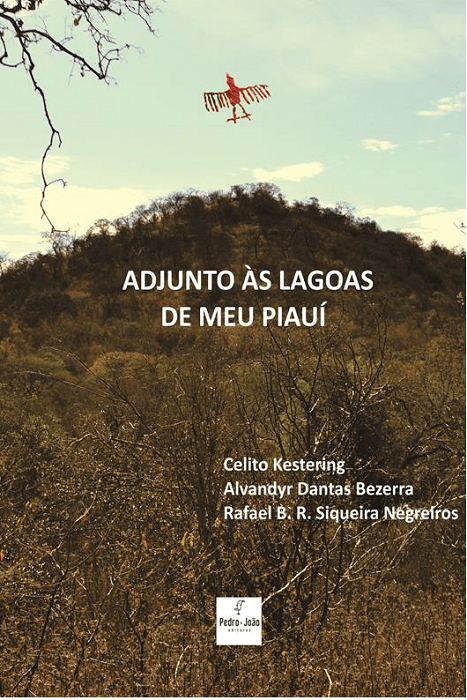 Adjunto às Lagoas de Meu Piauí
