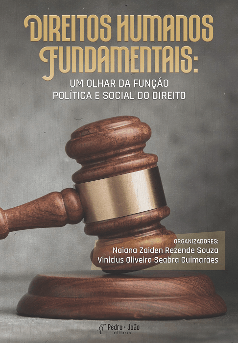 Direitos Humanos Fundamentais: um olhar da função política e social do Direito
