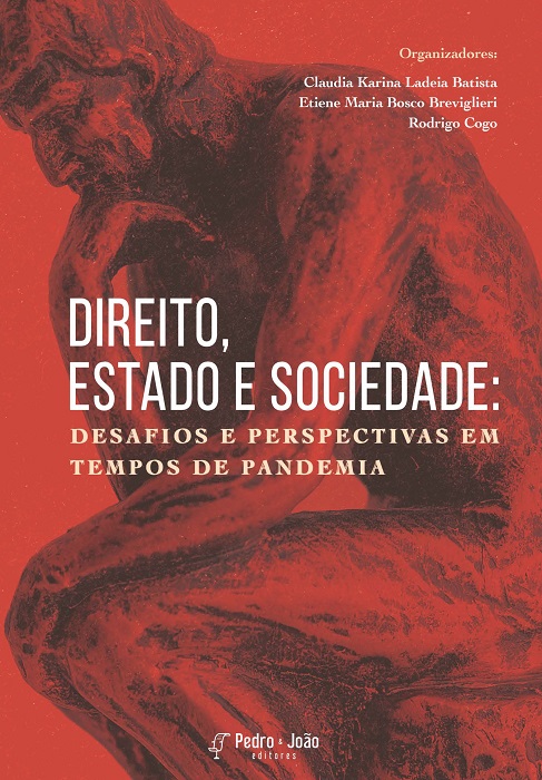 Direito, estado e sociedade: desafios e perspectivas em tempos de pandemia