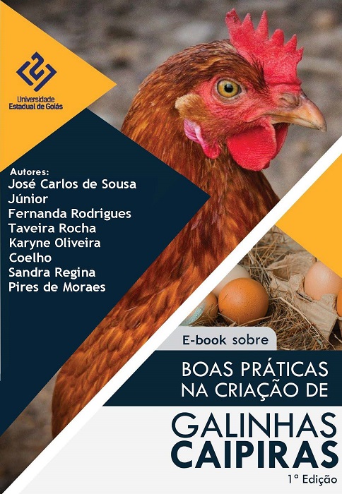 Boas práticas na criação de galinhas caipiras